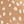 Tan Doe Print