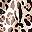 Brown Leopard