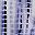 Blue White Pattern