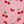 Pink Cherry