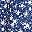 Blue White Flower