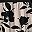 Black Beige Floral