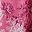 Pink Multi Flowers