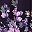 Purple Floral Print