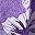 Purple Flower