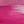 Pink Fuchsia