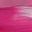 Pink Fuchsia