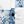 Blue White