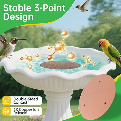 2 Pack Copper Bird Bath Discs Natural Water Purifier Triple Point Design Fits Outdoor Bowls
