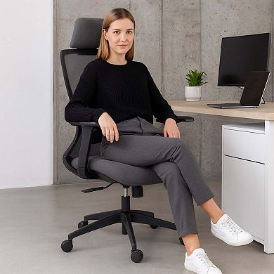 High Back Ergonomic Mesh Office Chair with Lumbar Support Adjustable Desk Chair