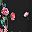 Black Flower