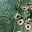 Green Print
