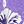 Purple Print