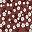 Brown White Floral
