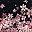 Flowers Black