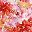 Pink Floral