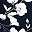 White Floral Blue