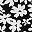 Black Floral
