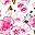 Pink Floral