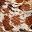 Cow Print
