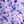Blue White Spots