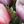 Purple Pink