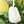 White Yellow