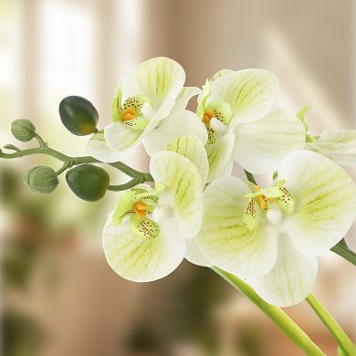 Real Touch Artificial Orchid in White Pot, Vibrant Phalaenopsis Silk Flower for Table Centerpieces