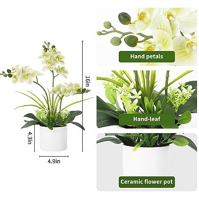 Real Touch Artificial Orchid in White Pot, Vibrant Phalaenopsis Silk Flower for Table Centerpieces