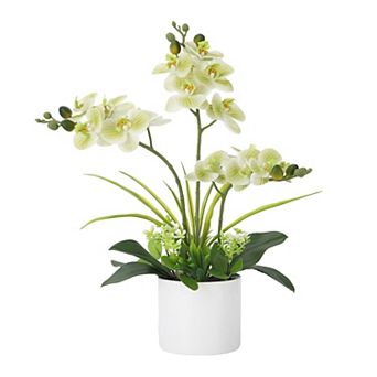 Real Touch Artificial Orchid in White Pot, Vibrant Phalaenopsis Silk Flower for Table Centerpieces