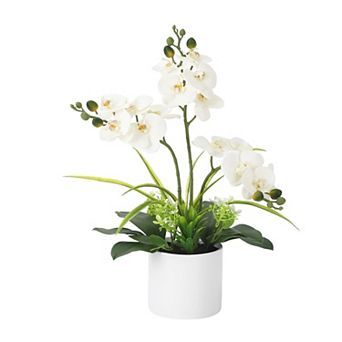 Real Touch Artificial Orchid in White Pot, Vibrant Phalaenopsis Silk Flower for Table Centerpieces