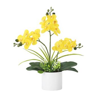 Real Touch Artificial Orchid in White Pot, Vibrant Phalaenopsis Silk Flower for Table Centerpieces