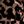 Brown Leopard