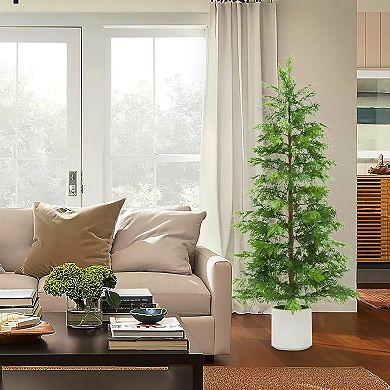 2-pack 5ft cedar topiaries, UV-rated, potted for porch, living room, or office.
