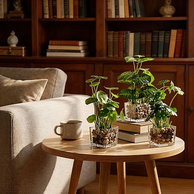 Mini Artificial Plants with Clear Glass Pots