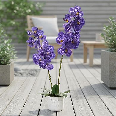 31.5" Faux Orchids Real Touch Dark Purple