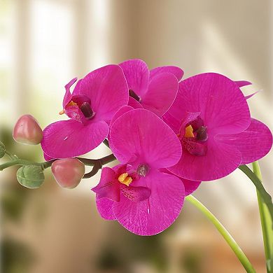 Real Touch Purple Orchid in Vase for Home/Wedding