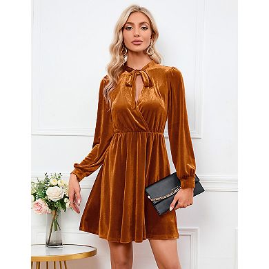 Women's Tie Neck Long Sleeve Velvet Dress Wrap Front Flared Mini Dress