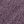 Orchid