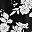 Black Print