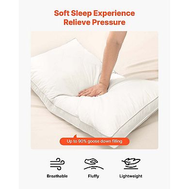 Down Alternative Pillows