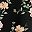 Black Floral