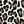 Black Leopard