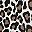 Black Leopard