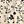 Beige Black