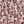 Blush Ditsy Floral