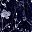 Navy Blue Floral