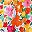 Orange Floral Print
