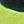Black And Lime Green