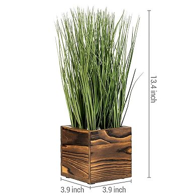 3-Piece Set of Artificial Grass